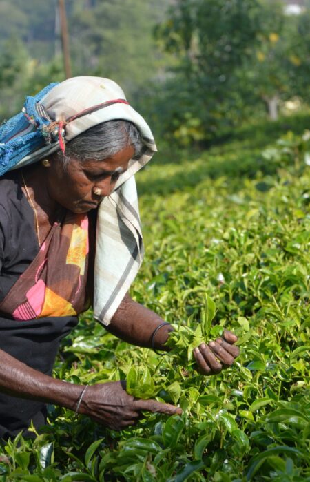 asantha-abeysooriya-beNiTTa8Pp8-unsplash